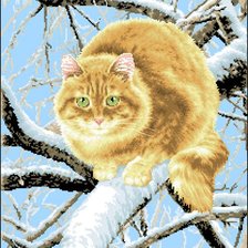 Схема вышивки «кот»