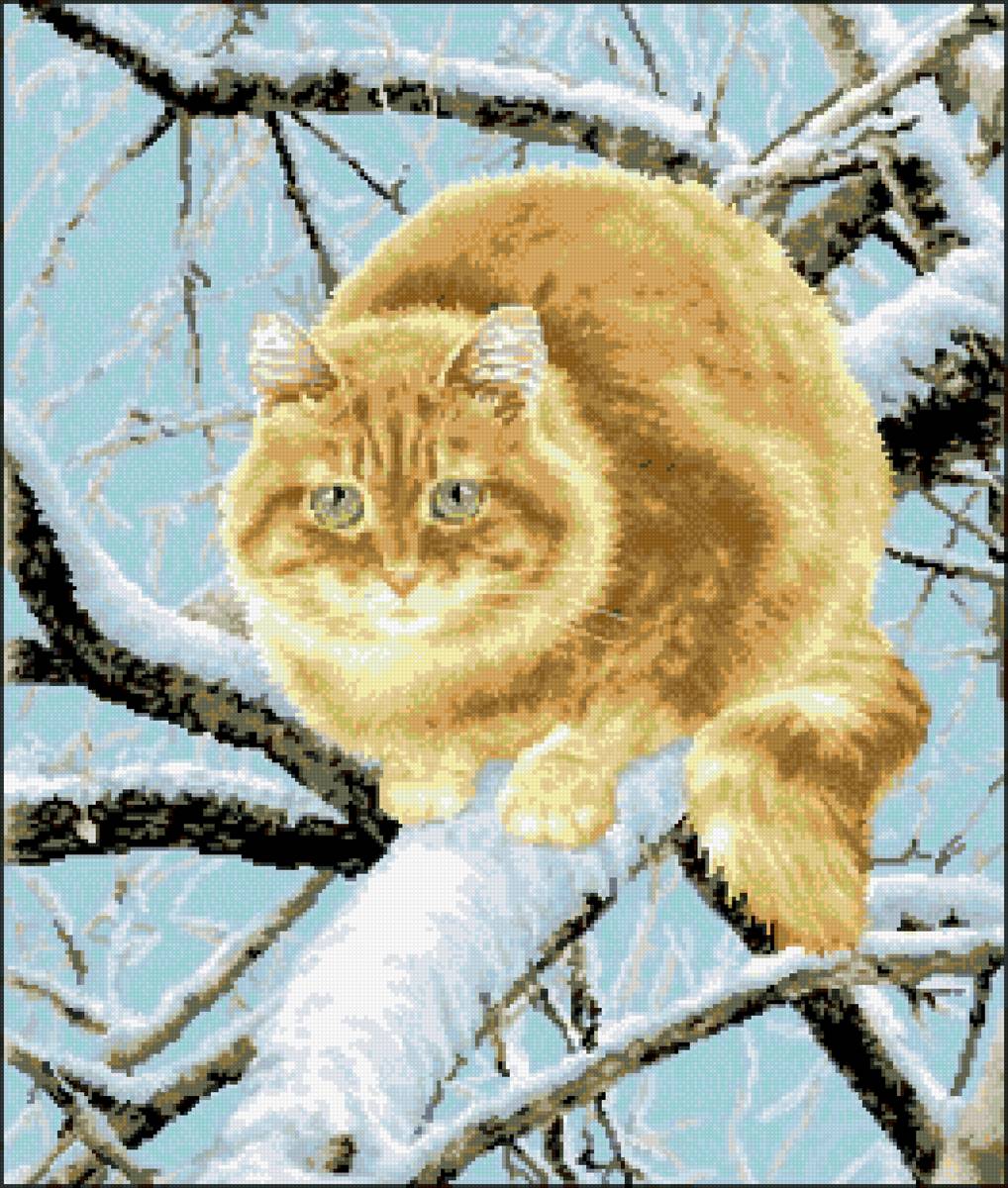 рыжик - дерево, зима, кот - предпросмотр