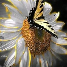 Схема вышивки «№2495131»