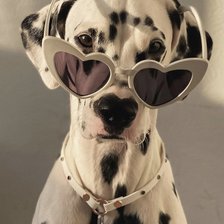 Схема вышивки «Пес»