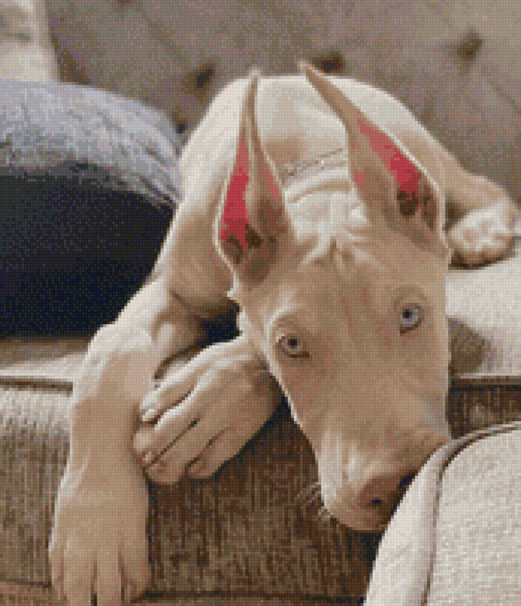 Dog - предпросмотр