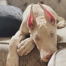 Схема вышивки «№2495186»