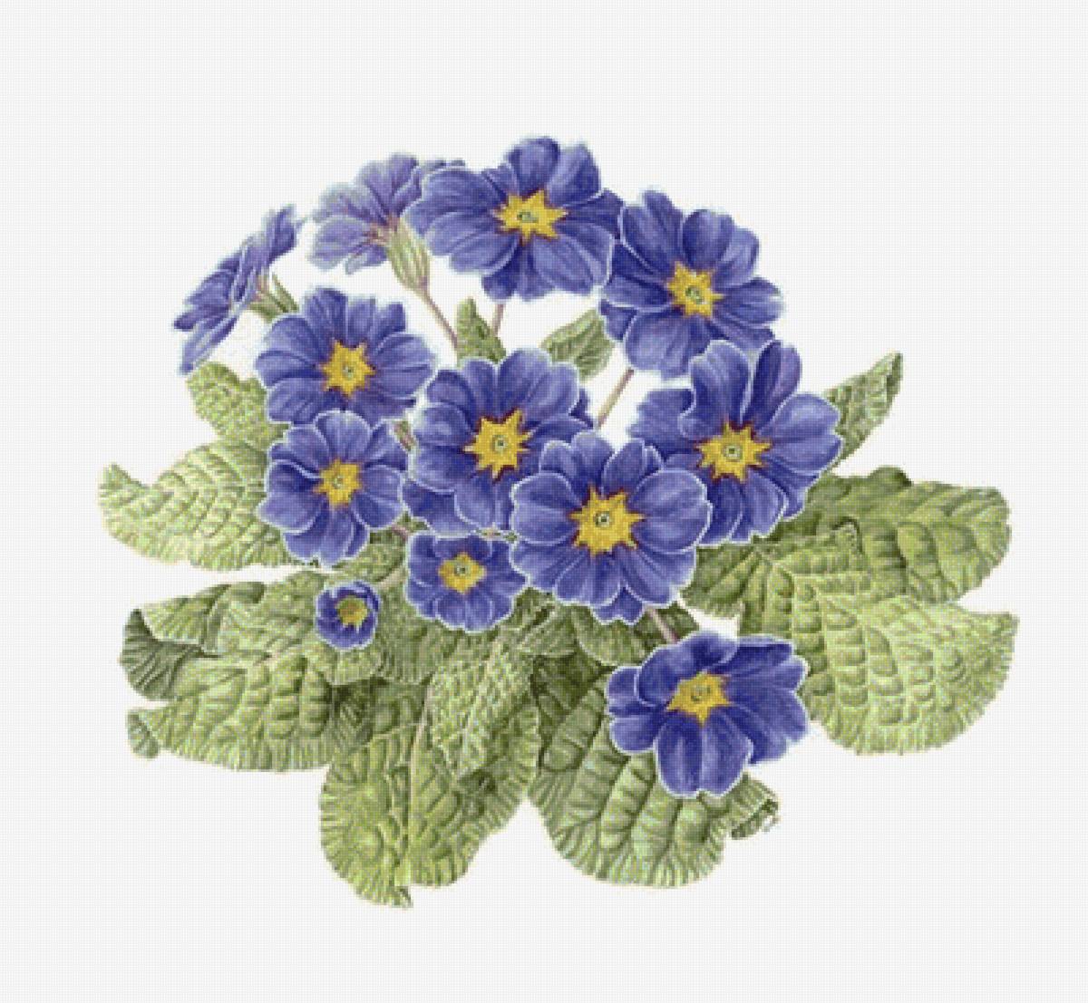 №2495259 - предпросмотр