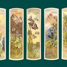 Схема вышивки «Ботаника»