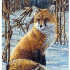 Схема вышивки «Лиса»