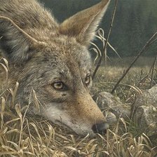 Схема вышивки «№2495526»