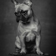 Схема вышивки «френч»