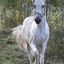 Схема вышивки «№2495648»