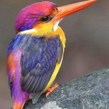 Схема вышивки «№2495686»