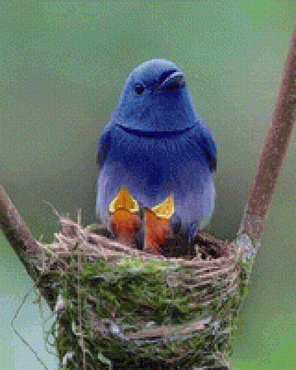 Птичка - птицы - предпросмотр