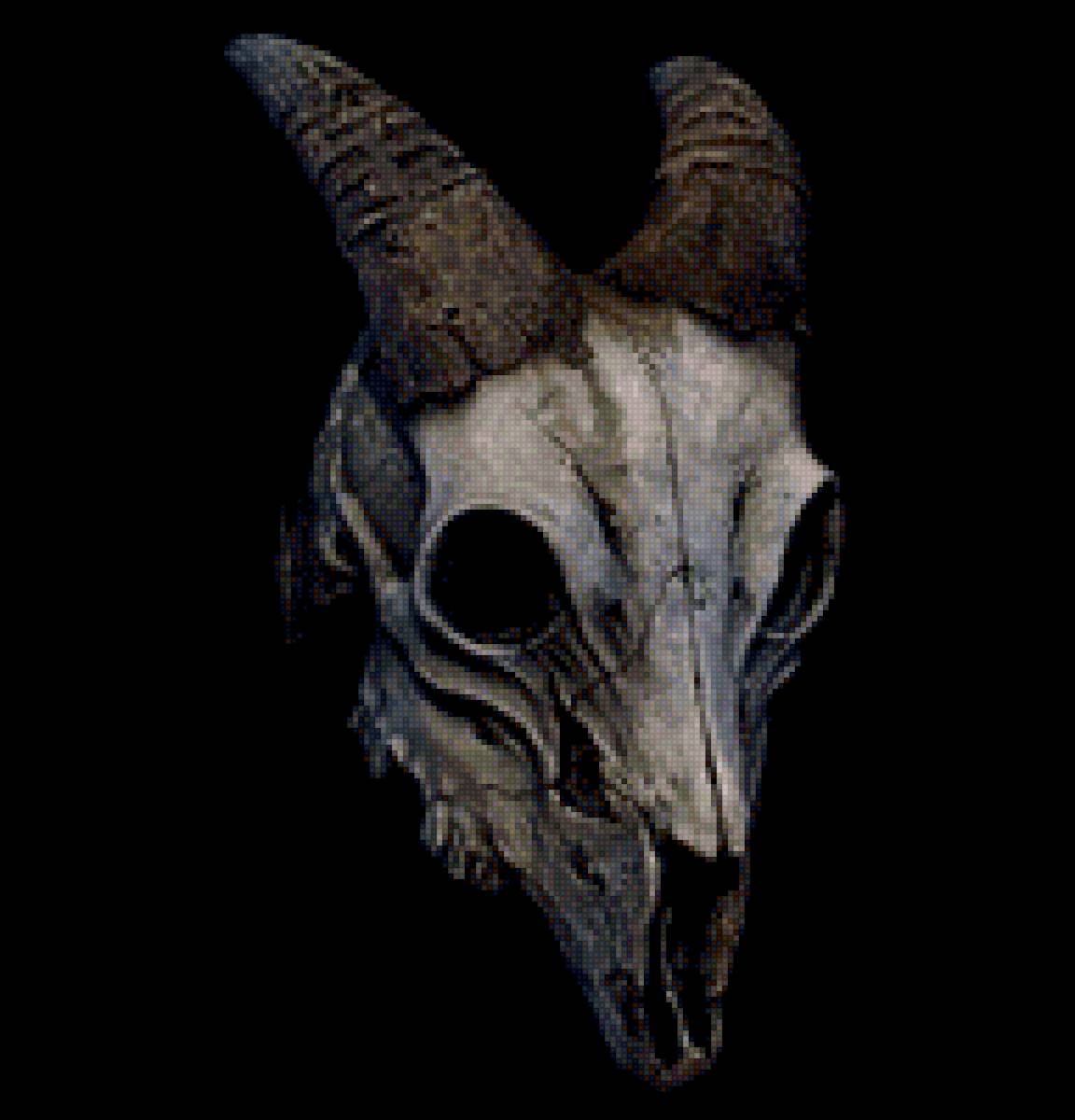 Череп козы - предпросмотр