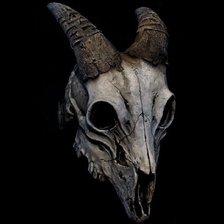 Схема вышивки «Череп козы»