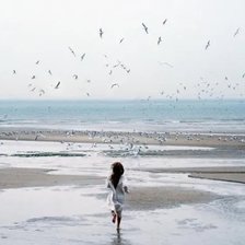 Схема вышивки «К морю»