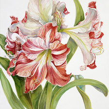 Схема вышивки «№2496168»