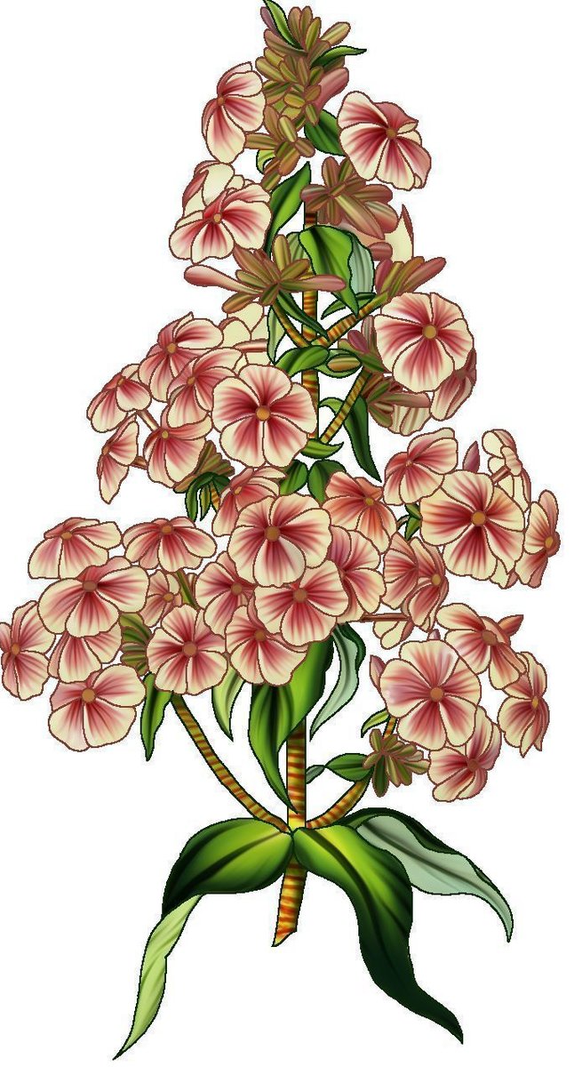 №2496175 - оригинал