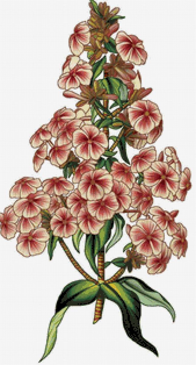 №2496175 - предпросмотр