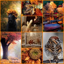 Схема вышивки «Поздняя осень»