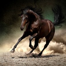 Схема вышивки «Лошадь»