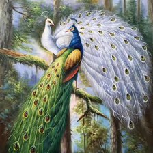 Схема вышивки «Павлины»