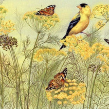 Схема вышивки «Птичка»