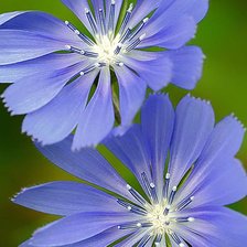 Схема вышивки «№2496862»