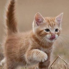 Схема вышивки «№2496944»