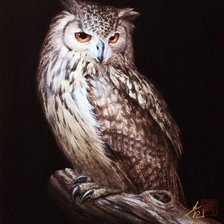 Схема вышивки «сова»