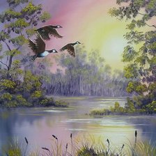 Схема вышивки «тих полет»