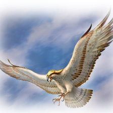 Схема вышивки «търся плячка»