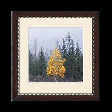 Схема вышивки «Природа»