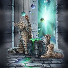 магические коты