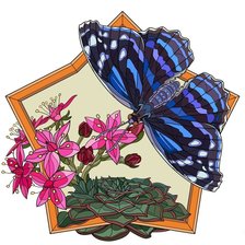 Схема вышивки «№2497495»