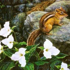 Схема вышивки «Бурундук»