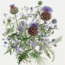 Схема вышивки «Репейник»