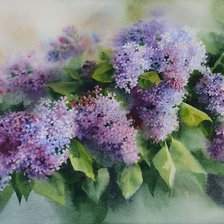 Схема вышивки «СИРЕНЬ»