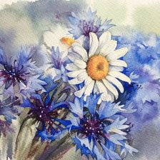 Схема вышивки «РОМАШКИ И ВАСИЛЬКИ»