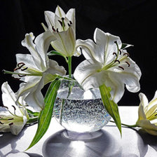 Схема вышивки «лилии»