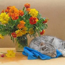 Схема вышивки «№2498278»