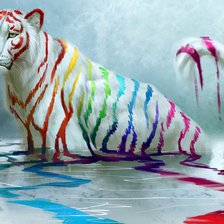 Радужный тигр