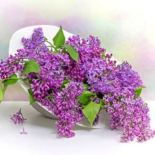 Схема вышивки «№2498704»