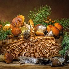 Схема вышивки «№2498748»