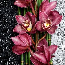 Схема вышивки «цветы»