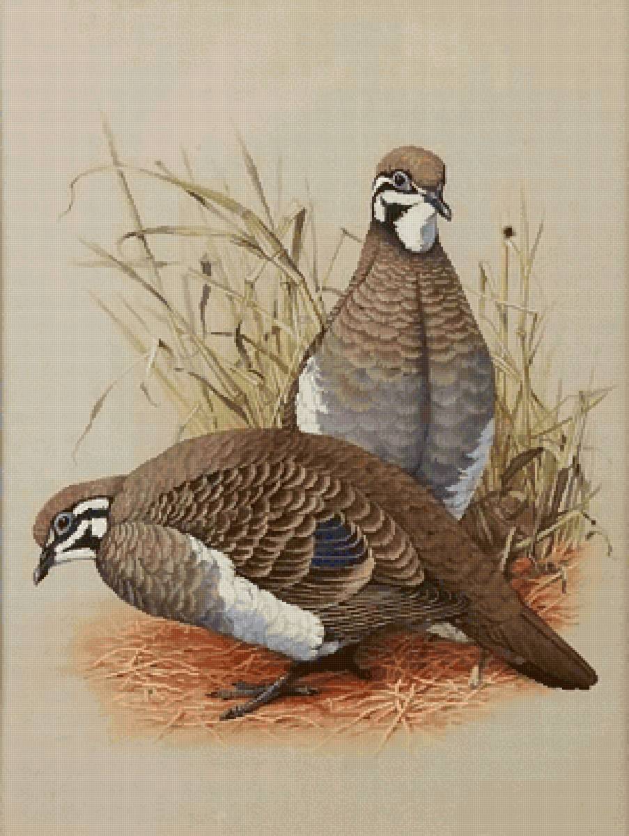 №2499018 - предпросмотр