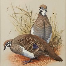 Схема вышивки «№2499018»