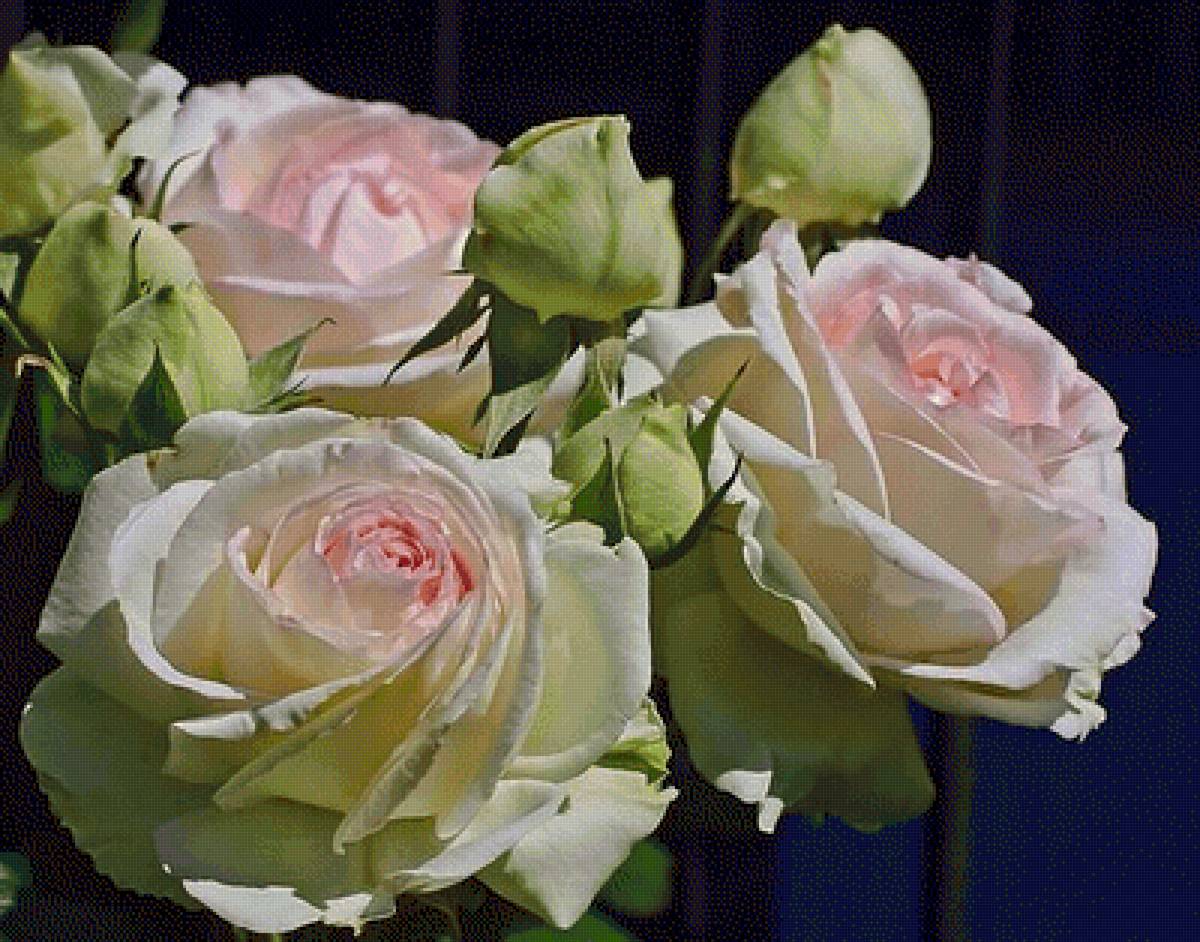 №2499451 - предпросмотр