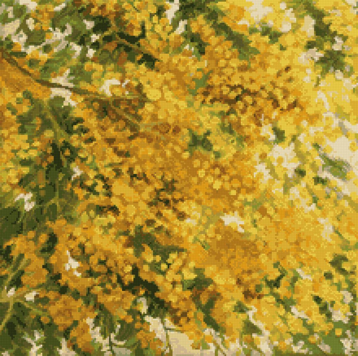 очаровательная мимоза - весна - предпросмотр