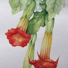 Схема вышивки «№2499641»