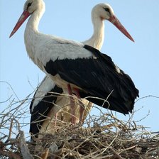 Схема вышивки «№2499659»