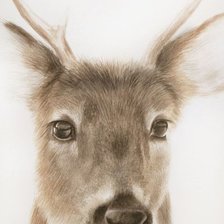 Схема вышивки «№2500526»