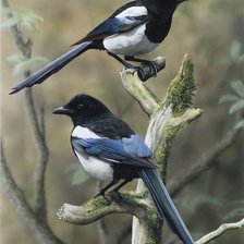 Схема вышивки «№2500546»